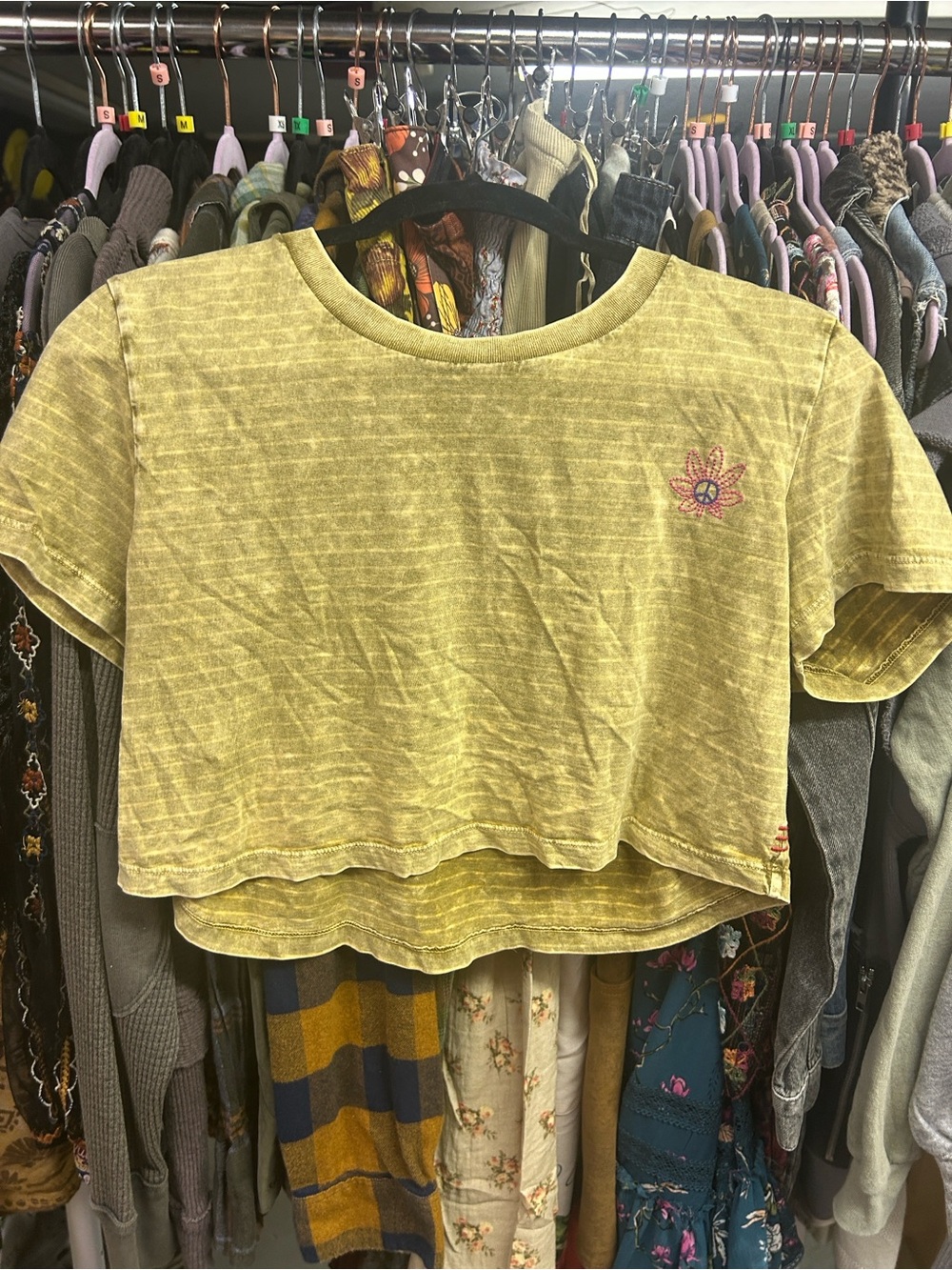 Urban Outfitters BDG Acid Wash Embroidered Peace Flower Cropped Tee S